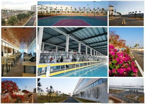 智能化果園式工廠 斯沃德教育科技誠邀技術開發精英共筑未來